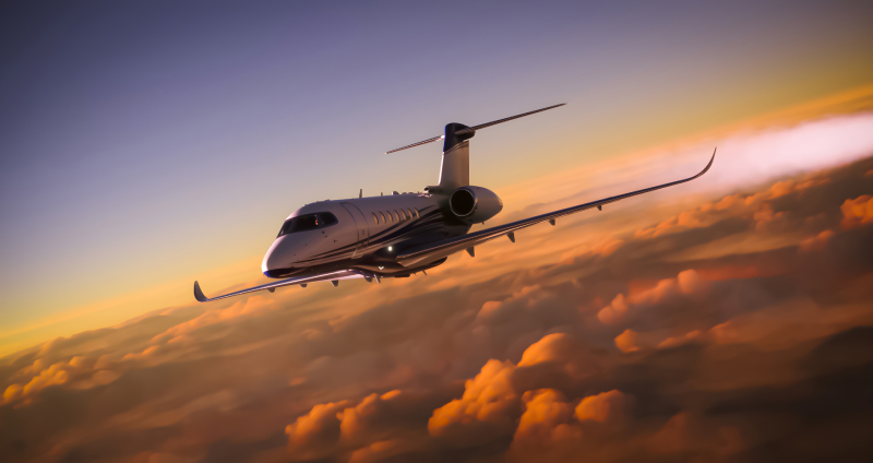 aircraft bird strike prevention